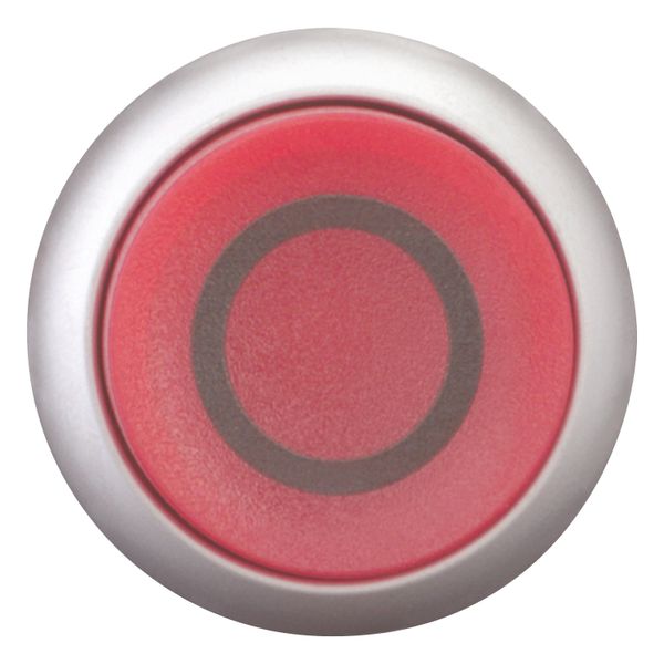 M22-DLH-R-X0 Illuminated pushbutton actuator, RMQ-Titan, Extended, momentary, red, inscribed, Bezel: titanium image 5