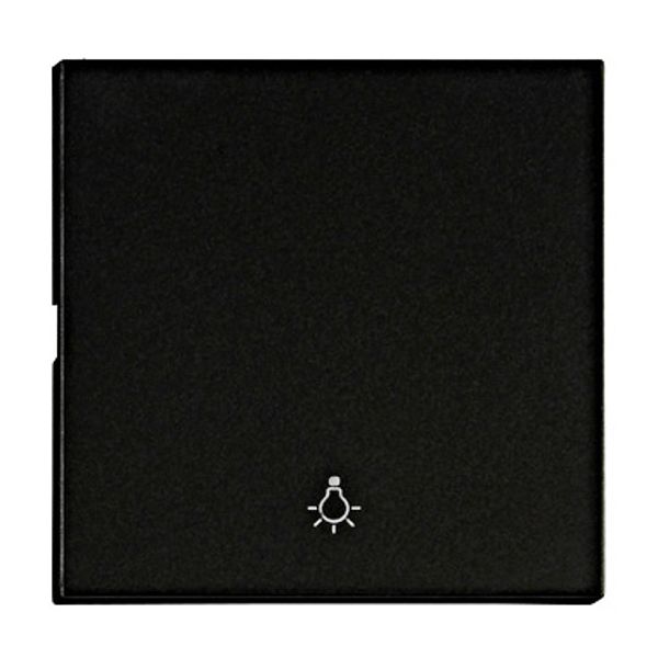 Rocker S 55 with symbol light, black image 1