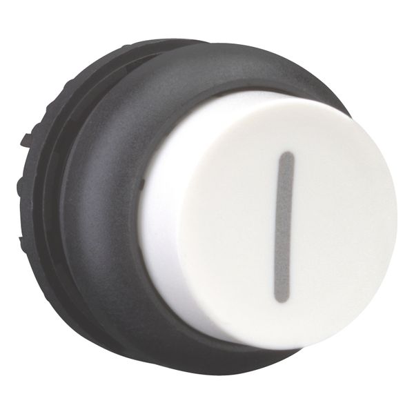 M22S-DH-W-X1 Pushbutton, RMQ-Titan, Extended, momentary, White, inscribed, Bezel: black image 8