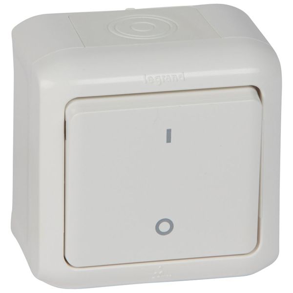 Double pole switch Forix - surface mounting - 10 AX - 250 V~ - white image 1
