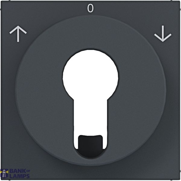 Centr.pl. blind switch/pulse driver DIN cylinder arrow symbol A.x/C.x antr. image 1