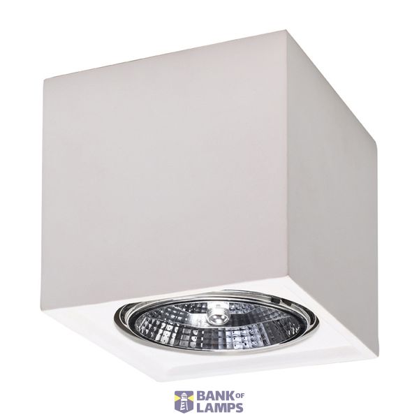 CERAMIC SPOT SEIDA GU10/ES111 1X40W IP20 image 5