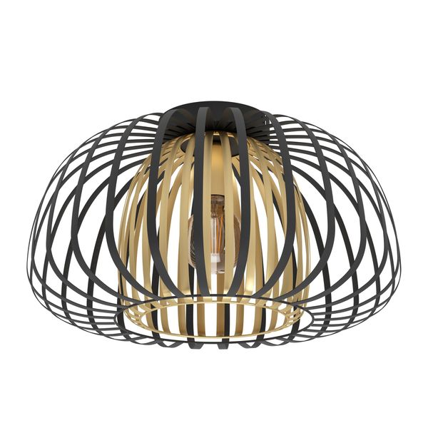 ENCINITOS ceiling light 99664 image 1