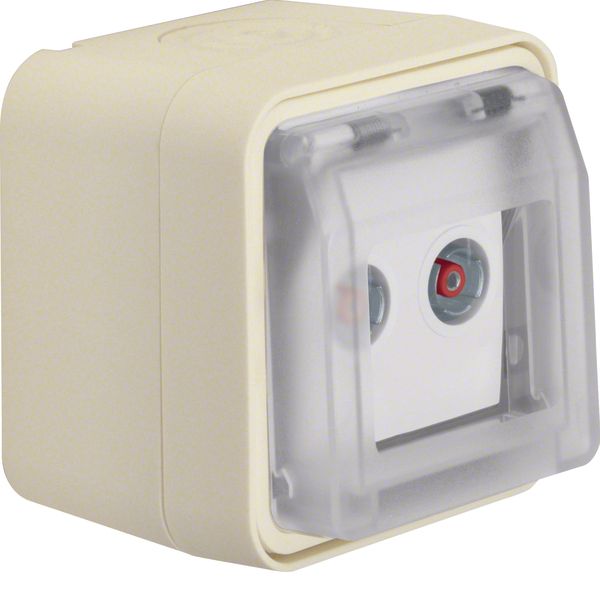 Aerial soc., 2hole hinged cover surf.-mtd, throughpass soc.,W.1,p.whit image 1