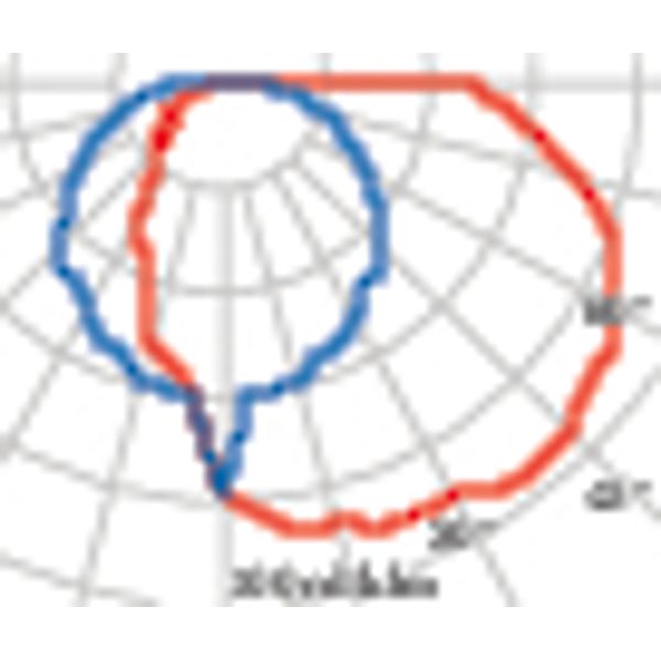 CHIP OVAL 25 GRILL BLACK E27 image 6