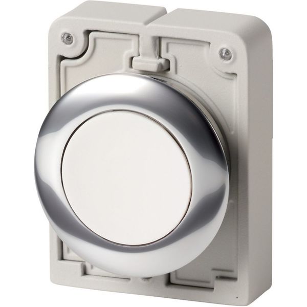 M30C-FD-W Pushbutton, RMQ-Titan, Flat, momentary, White, Blank, Metal bezel image 6