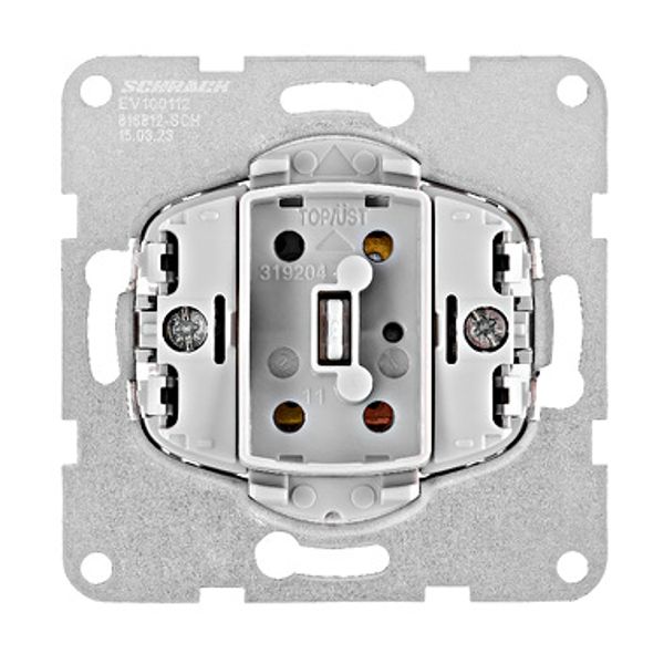 Two-way switch insert, screw clamps image 1