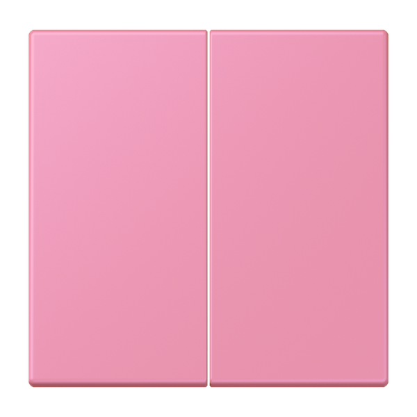 LB Management push-button 2-gang LC1702246 image 1