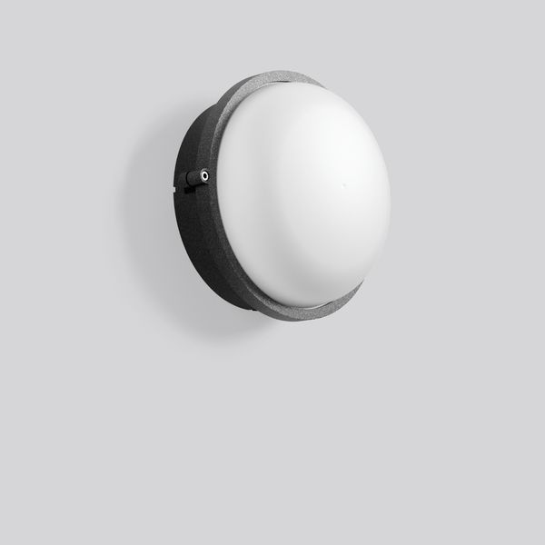Alu-Superior, anthracite, on/off Ceiling and wall luminaires, D 245 H  image 2