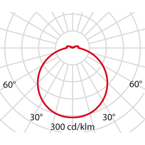 WL 220 ROUND10/15W S/A 830/40 image 6