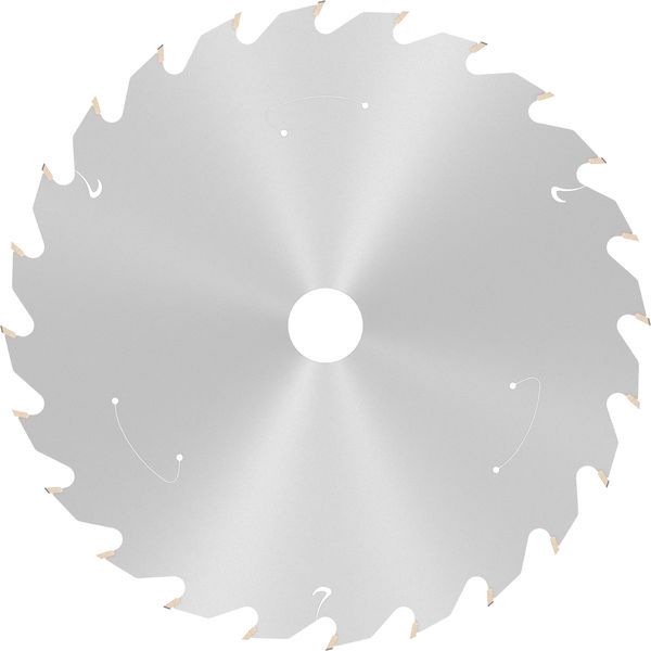 Standard for Wood Circular Saw Blade for Cordless Saws 173x1.5/1x20 T24 image 1