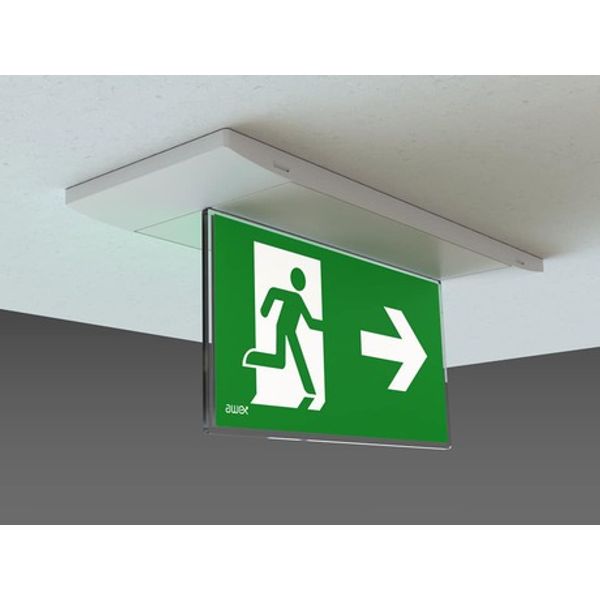 Double sided plexi glass for WONDER + universal pictogram image 1