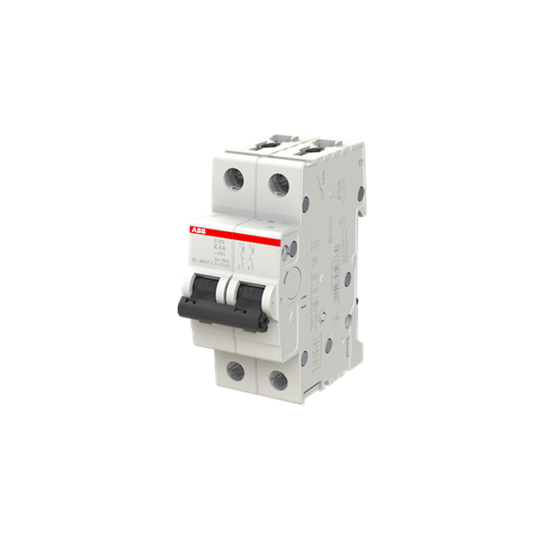 S202-Z6 Miniature Circuit Breaker - 2P - Z - 6 A image 3