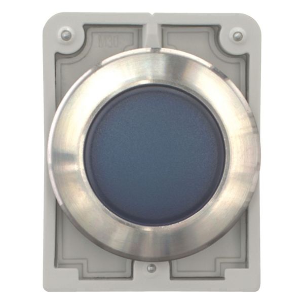 M30I-FL-B Indicator light, RMQ-Titan, flat, Blue, Front ring stainless steel image 3