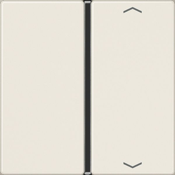 Cover 1-gang with symbols A401TSAP image 11