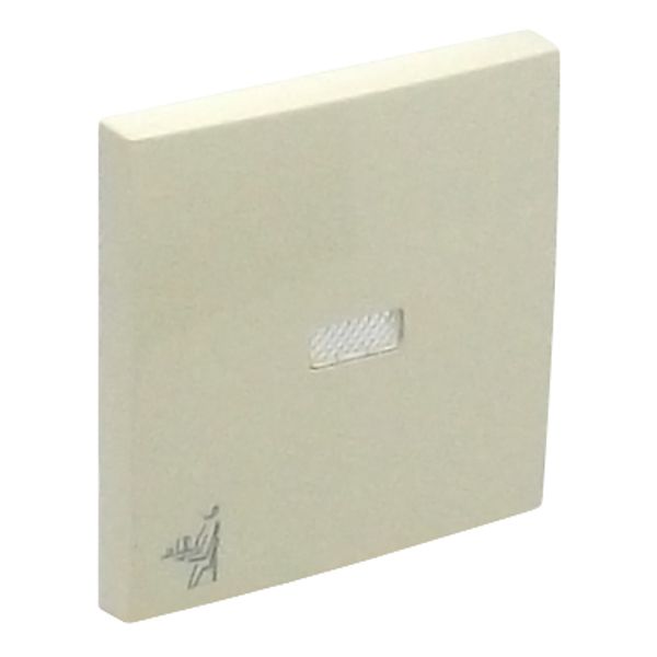 ROCK F/LIGHT SWITCH/PUSH-BUT W/MAID SYMB IVOR image 1