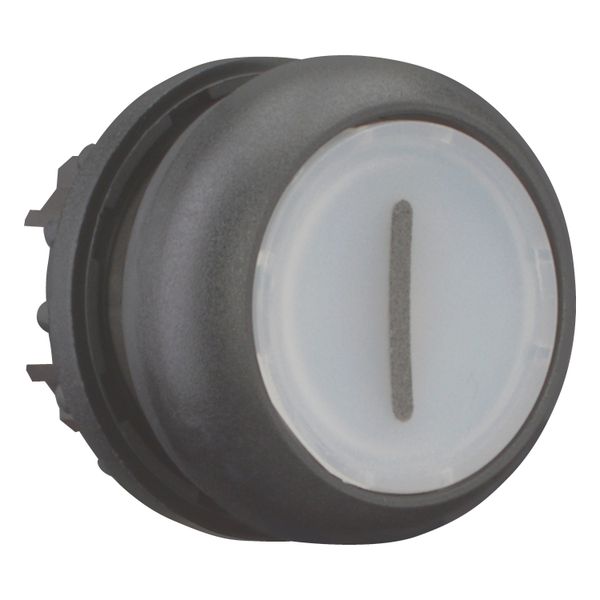 M22S-DRL-W-X1 Illuminated pushbutton actuator, RMQ-Titan, Flush, maintained, White, inscribed 1, Bezel: black image 7