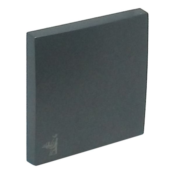 ROCKER F/SWITCHES W/MAID SYMBOL GRAY image 1