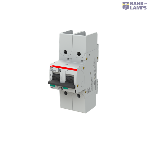 S802P-D100-R circuit breaker image 3
