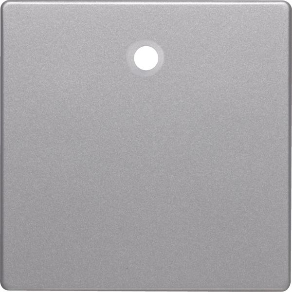 Cover. for pull switch/imp.dr. birch Q.1/Q.3/Q.7, aluminum look image 1