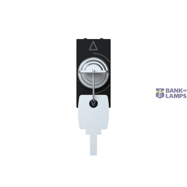 N2153.1 NT - Switching 3 position key image 1