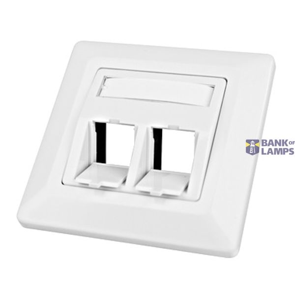 Outlet empty for 2 modules(SFA)(SFB), 80x80mm,angled,RAL1013 image 1
