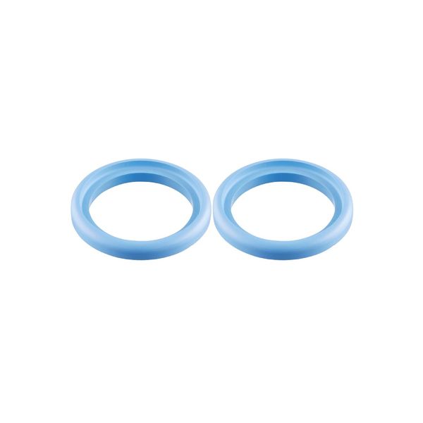 SEAL RING FKM DN40 | Gasket image 1