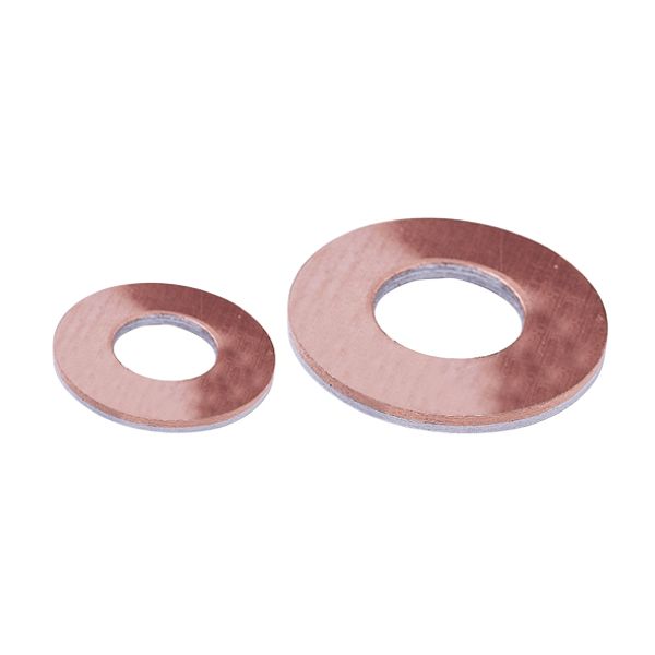 Bi-metallic washer ACP_8-1/50 image 1