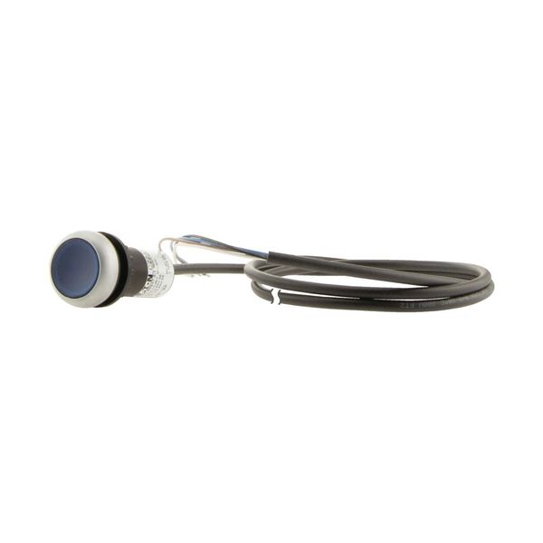 C22-DRL-B-K10-24-P65 Illuminated pushbutton actuator, classic, flat, maintained, 1 N/O, blue, 24 V AC/DC, cable (black) with non-terminated end, 4 pole, 3.5 m image 9