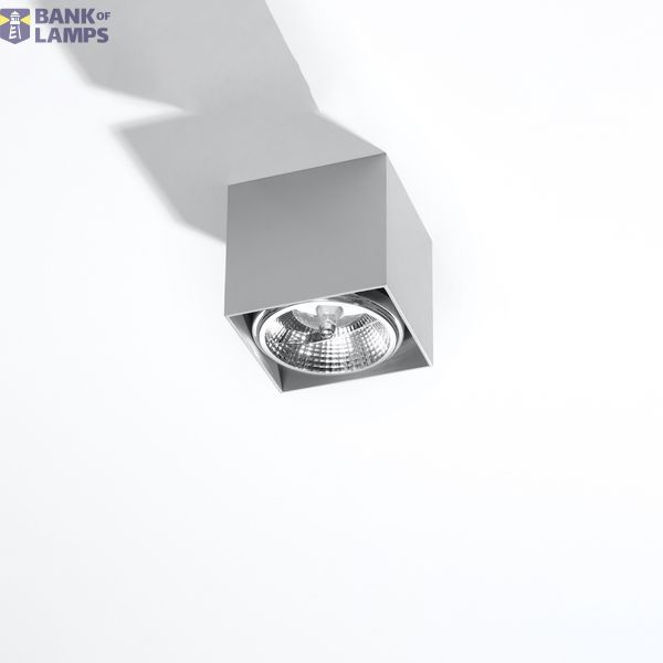 SPOT BLAKE GREY GU10 1X40W IP20 image 8