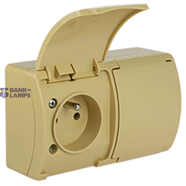 VG-2 Koala Double Socket with earthing contact (2x2P+Z) surface mounted IP44 beige with beige flap VG 162-04 image 1
