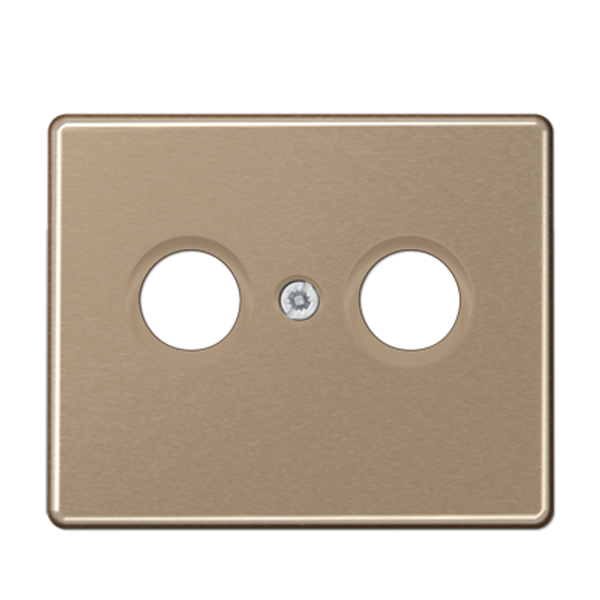 Afdekking SL500 goud brons voor CAI image 2