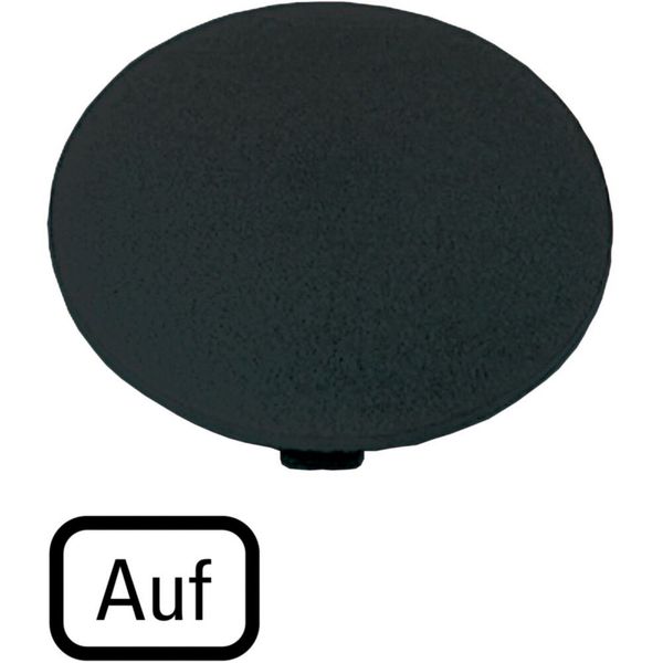 M22-XDP-S-D3 Button plate, mushroom black, UP image 5
