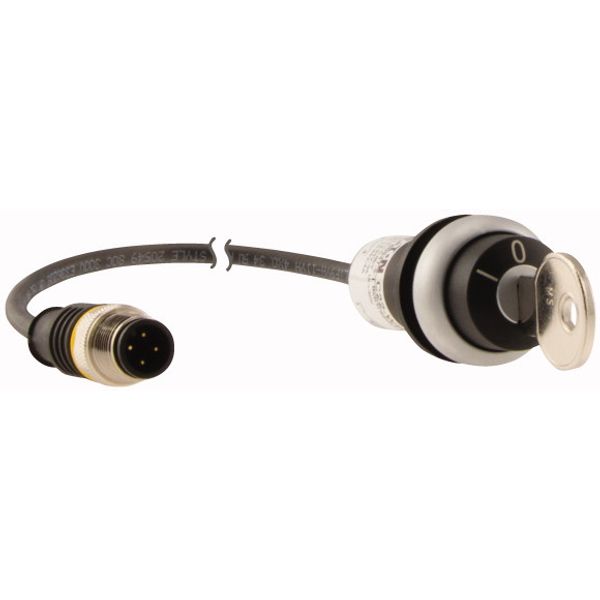 C22-WRS3-MS1-K20-P5 Key-operated actuator, RMQ compact solution, maintained, 2 N/O, Cable (black) with M12A plug, 4 pole, 1 m, 3 positions, MS1, Bezel: titanium image 4
