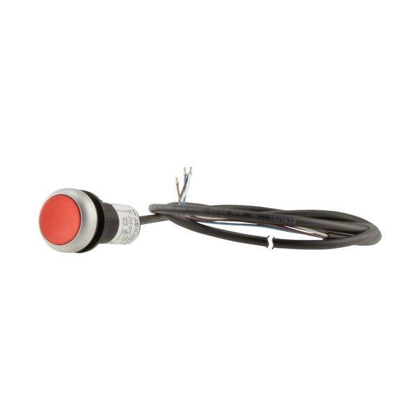 C22-DR-R-K01-P62 Pushbutton, classic, flat, maintained, 1 N/C, red, cable (black) with non-terminated end, 4 pole, 1 m image 9
