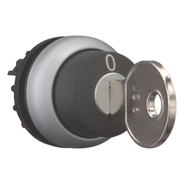 M22-WRS-MS6 Key-operated actuator, maintained, 2 positions, MS6, Key withdrawable: 0, I, Bezel: titanium image 7