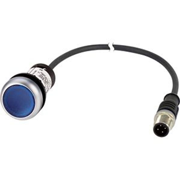 C22-DRL-B-K10-24-P3 Illuminated pushbutton actuators, maintained, blue, 24v, 1 N/O, with cable 0.5m and M12A plug image 5