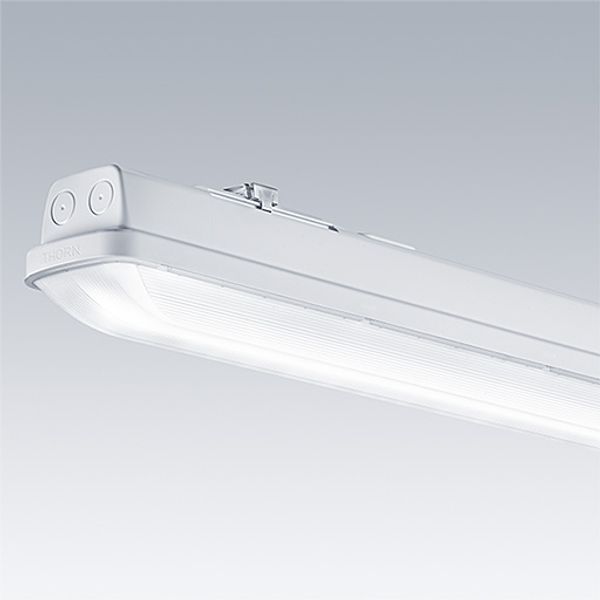 AQF S LED4300-840 PC MB HFLS - LED waterproof luminaire image 2