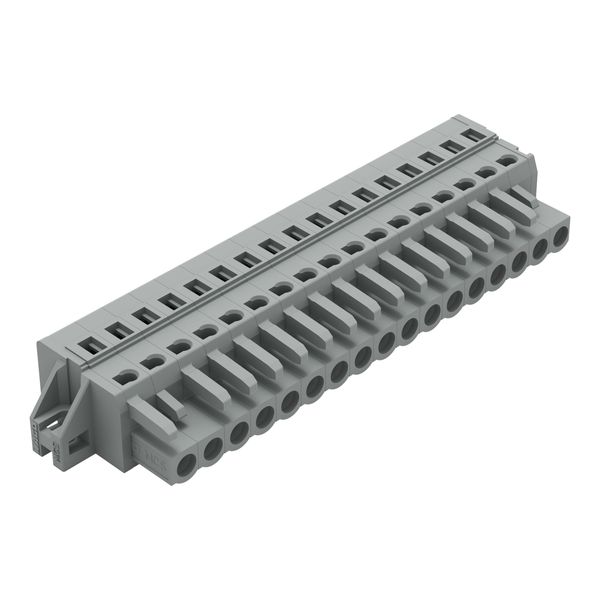 1-conductor female connector CAGE CLAMP® 2.5 mm² gray image 3