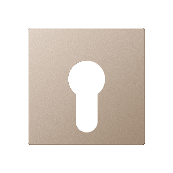Cover plate f. key switch A525PLCH image 1