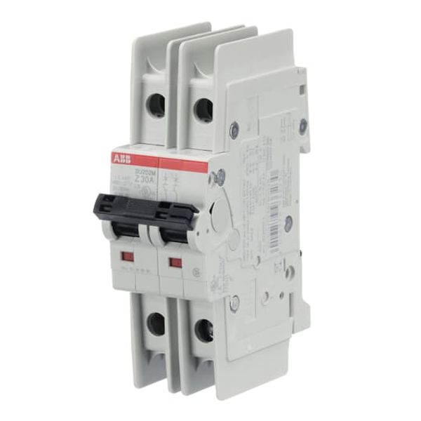 SU202M-K32 Miniature Circuit Breaker - 2P - K - 32 A image 6