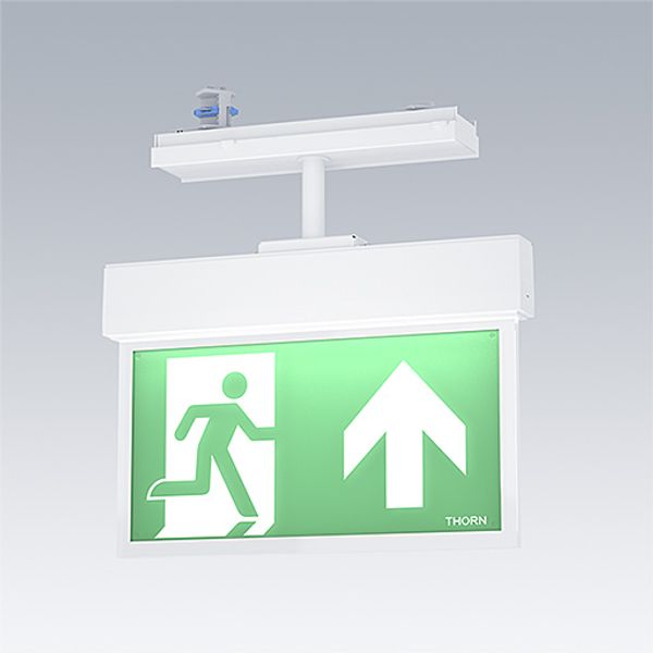 VOYAGER STYLE 150 P CON E3D WH - Escape sign luminaire image 2