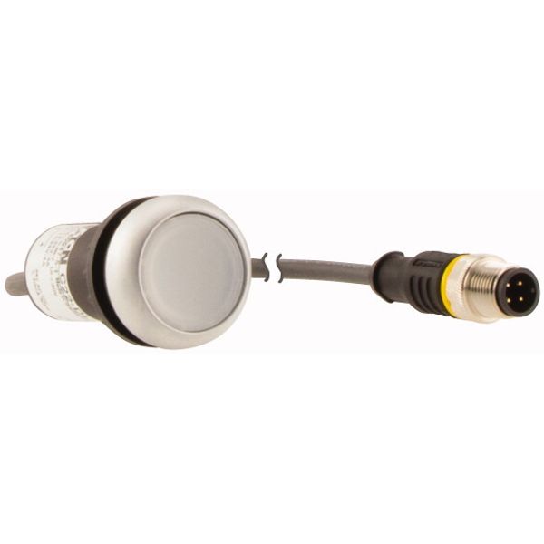 C22-DL-W-K10-24-P3 Illuminated pushbutton actuator, Flat, momentary, 1 N/O, Cable (black) with M12A plug, 4 pole, 0.5 m, LED white, White, Blank, 24 V AC/DC, Bezel: tita image 4