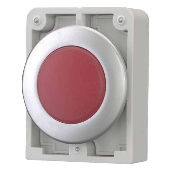 M30C-FL-R Indicator light, RMQ-Titan, Flat, Red, Metal bezel image 2