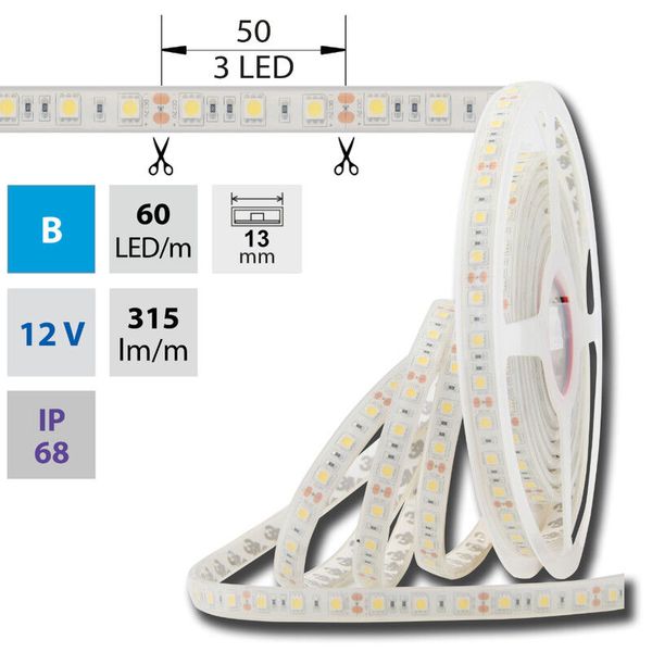 LED strip SMD5050 blue, 60LED/m, 14.4W/m, 450lm/m, IP68, DC 12V, 13mm, 5m image 1
