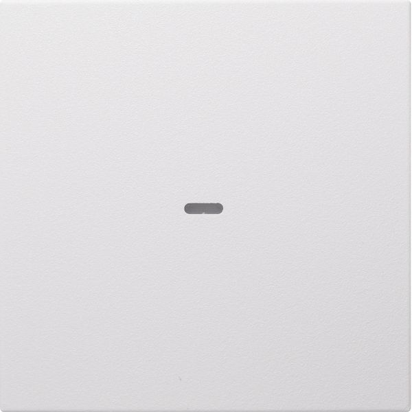 Cover f. 1gang f. push-b. module, clearlens, S.1/B.3/B.7, p.white, mat image 3