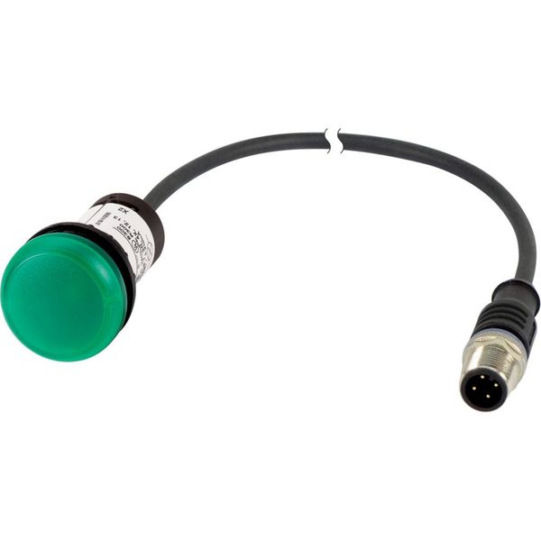 C22-L-G-24-P1 Indicator light, Flat, Cable (black) with M12A plug, 4 pole, 0.2 m, Lens green, LED green, 24 V AC/DC image 4