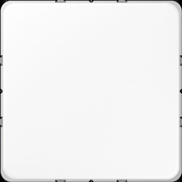 Blank centre plate for snap-on fixing CD594-0WW image 3