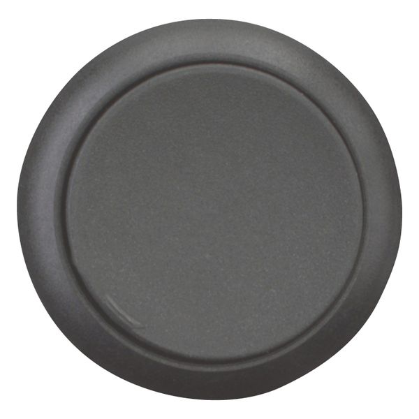 M22S-DH-S Pushbutton, RMQ-Titan, Extended, momentary, black, Blank, Bezel: black image 6