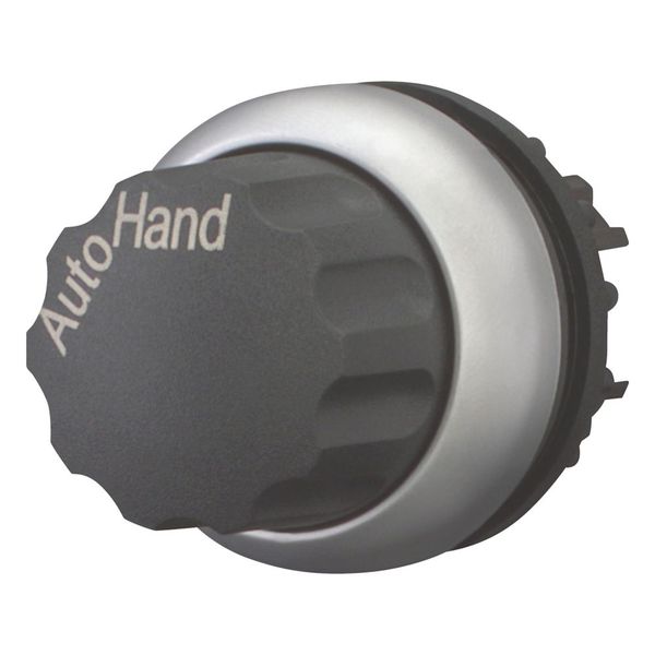 M22-WR-X91 Changeover switch, RMQ-Titan, With rotary head, maintained, 2 positions, inscribed, Bezel: titanium, AUTO HAND image 5